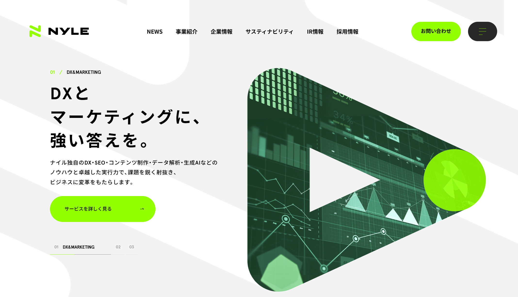 Image of Nyle Inc.'s official site
